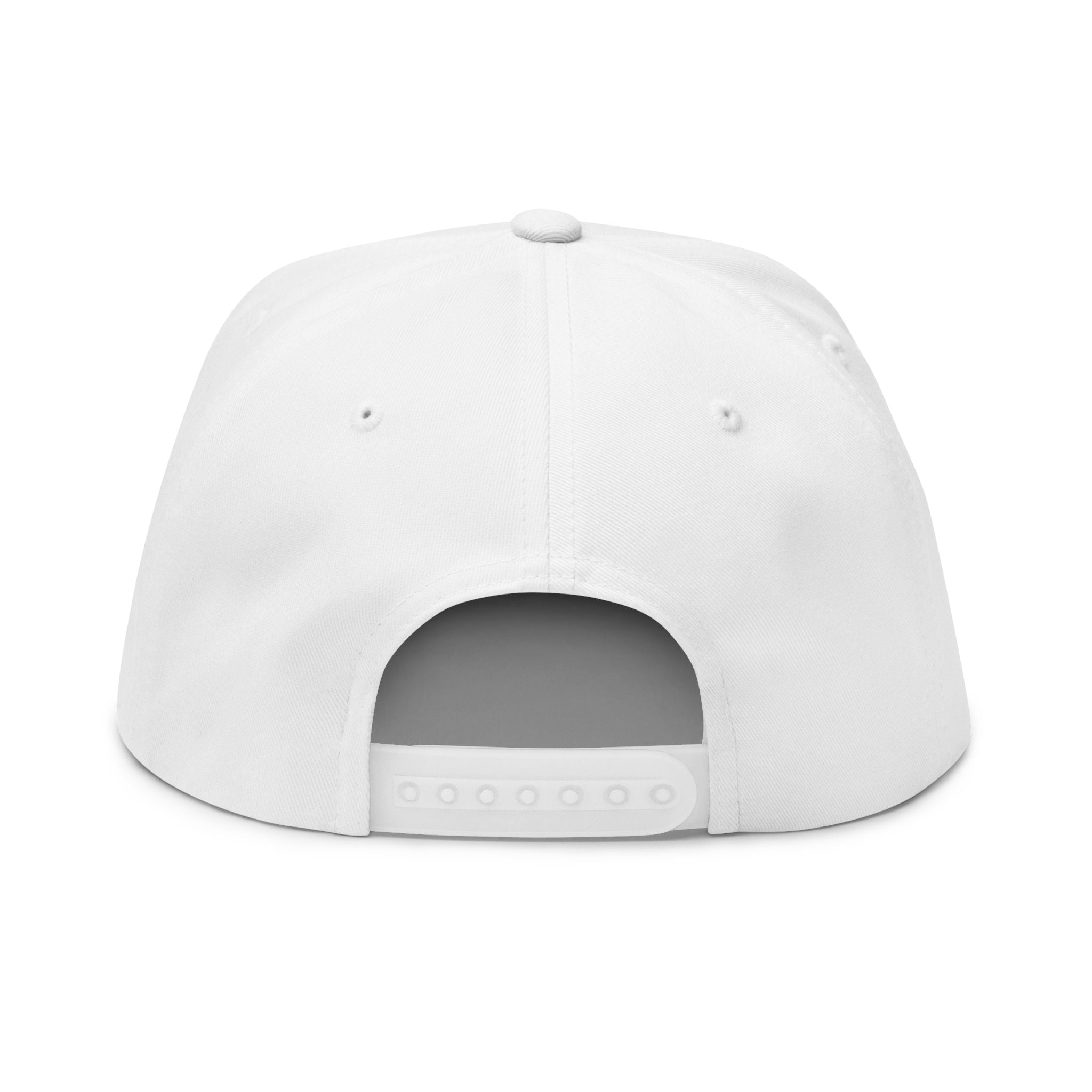 CV-3D Embroidered Flat Bill Cap – Props • Figures • More