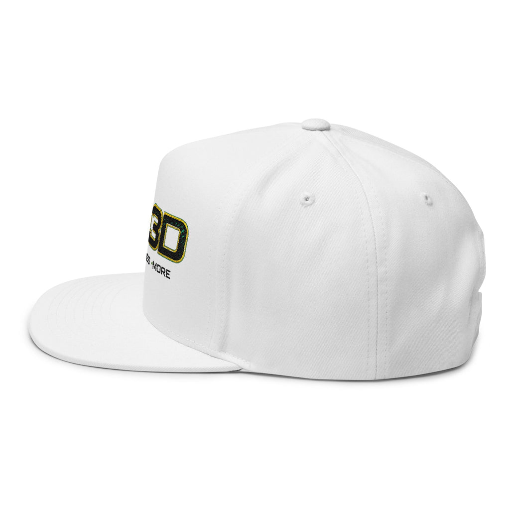 CV-3D Embroidered Flat Bill Cap – Props • Figures • More