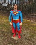 Life Man of Steel