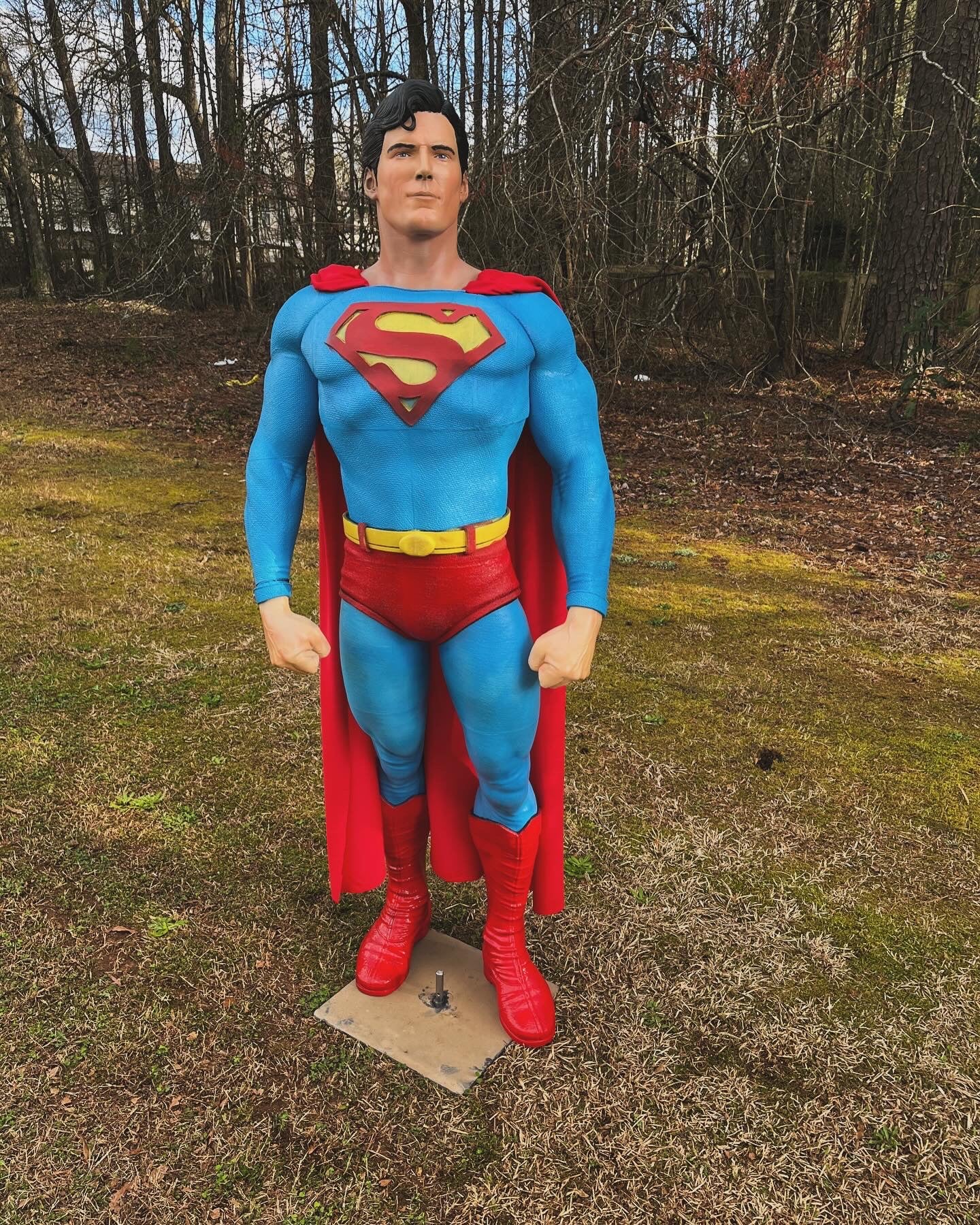 Life Man of Steel